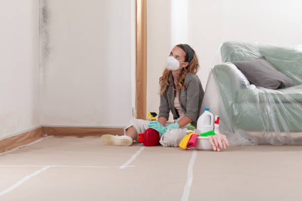 Reliable Mold Removal contractor in Damascus, MD by WQB Mold Removal
